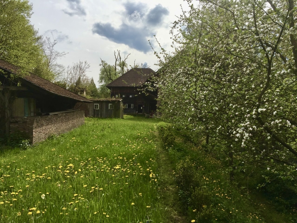 Bild 12 von Anzeige: IDYLLISCHES WOHNEN IN HAAG (OÖ) 