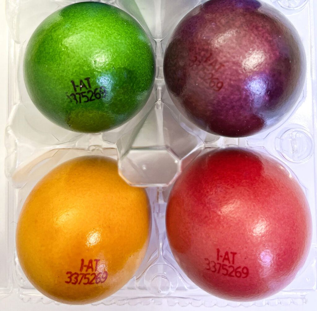 Eier-Check