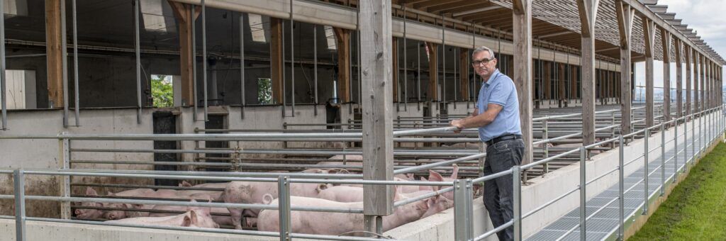 Waldenberger: „Artgerechte Haltung ist Fundament für hochwertige Lebensmittel.“