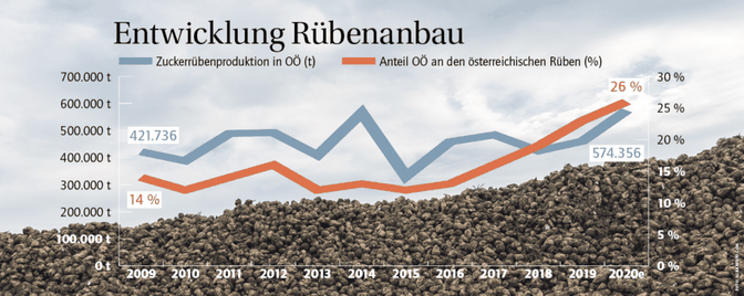Oberösterreich hat seinen Anteil an der bundesweiten Produktion in den vergangenen Jahren erheblich steigern können. Dieser liegt mit geschätzten 574.356 Tonnen heuer bereits bei 26 Prozent.