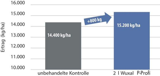 Wuxal P Profi brachte in mehrjährigen Praxis- und Exaktversuchen im Mais 800 kg/ha Mehrertrag.