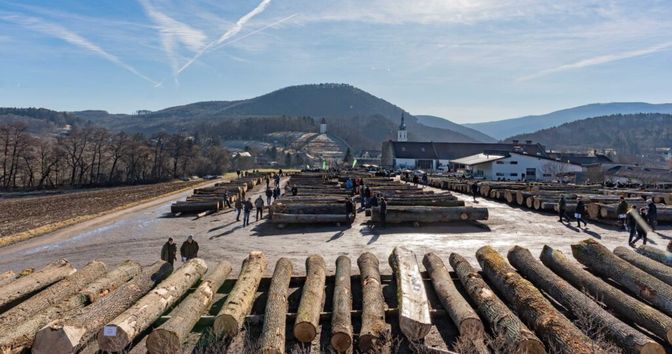 Laubholzversteigerung am Submissionsgelände vom Stift Heiligenkreuz