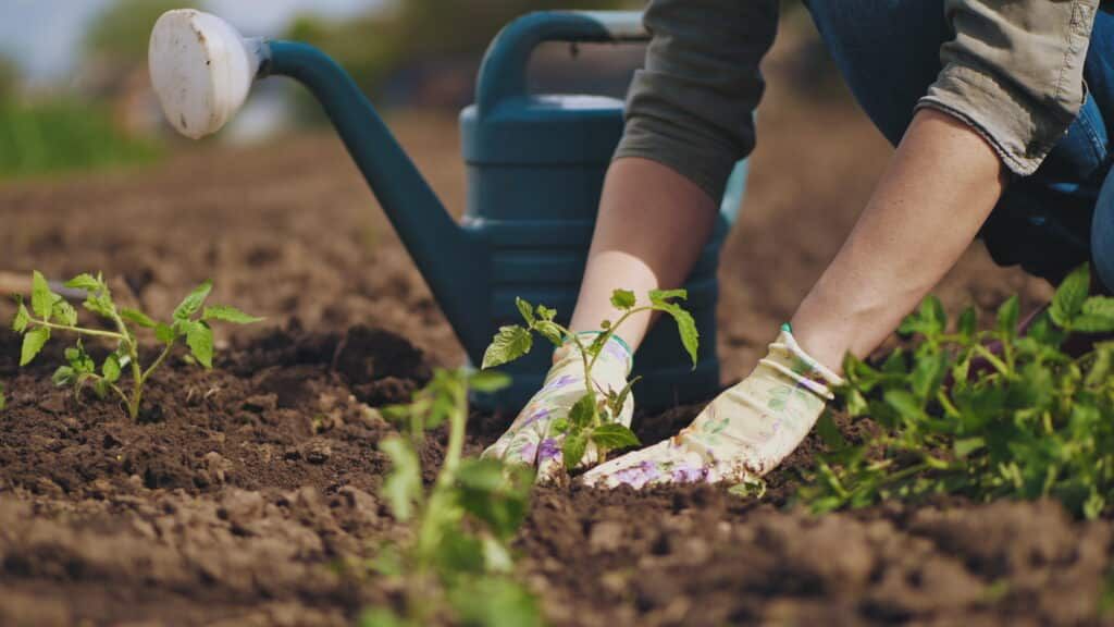 Langer-Weninger, Zopf und Haider nennen Gartenarbeit als Ausgleich zur Arbeit als Funktionärin.