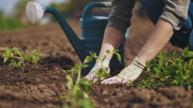 Langer-Weninger, Zopf und Haider nennen Gartenarbeit als Ausgleich zur Arbeit als Funktionärin.