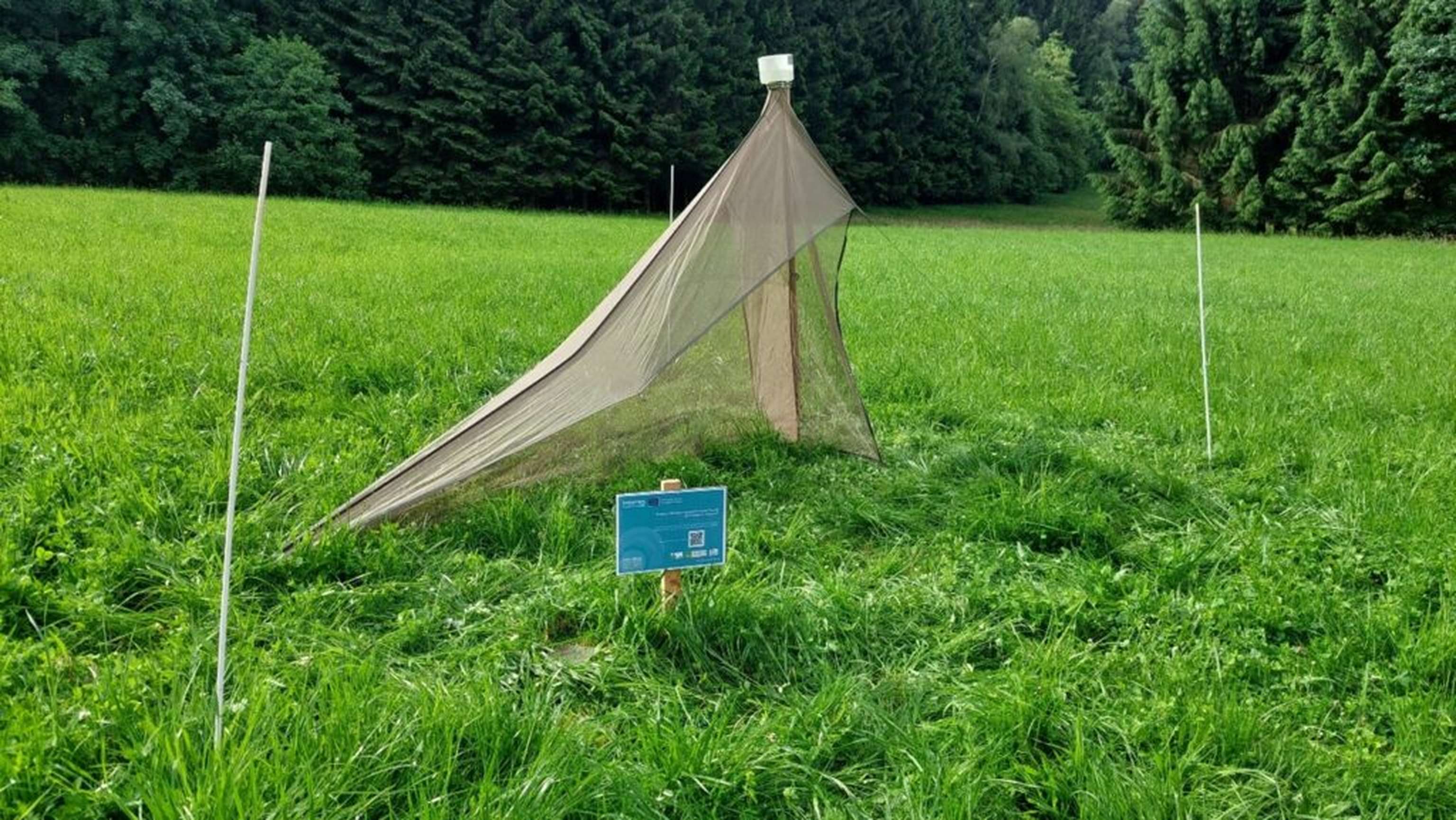 Eine Malaisefalle für das Insektenmonitoring