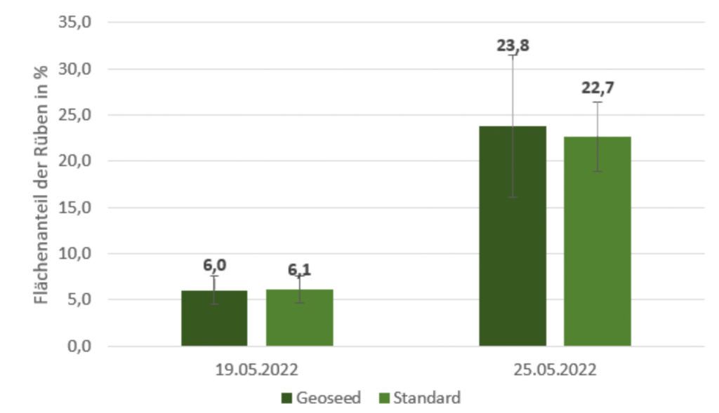 Bedeckungsgrad der Rübenpflanzen an den entsprechenden Tagen und Varianten mit Standardabweichung