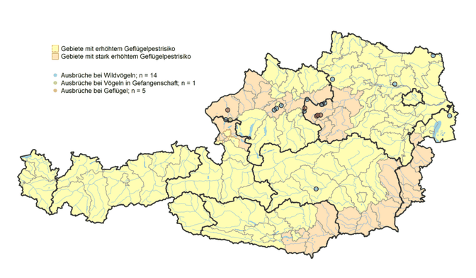 Aviäre Influenza: Risikogebiet und Ausbrüche seit 1. September (Stand 11.11.2024).