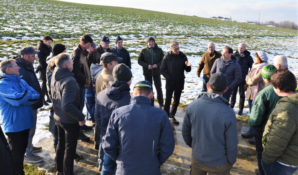 Diskussionsrunde am Feld: Dabei ging es auch um die bodennahe Gülleausbringung, bei der die Steiermark und Niederösterreich punkto Ausbringungsrate noch hinterherhinken.