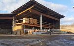 Eine ehemalige Maschinenhalle funktionierte Josef Fradler zum Maststall um.