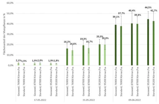 Bedeckungsgrad der Maispflanzen an den entsprechenden Tagen und Varianten mit Standardabweichung