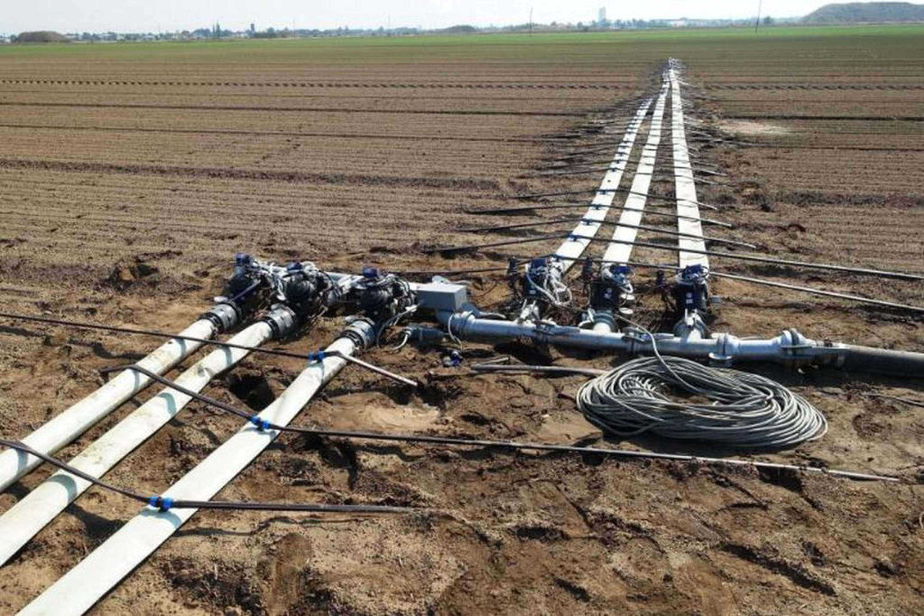 Verteilnetz einer Tropfbewässerung. Die richtige Dimensionierung der Anlage ist entscheidend für die Wirtschaftlichkeit.