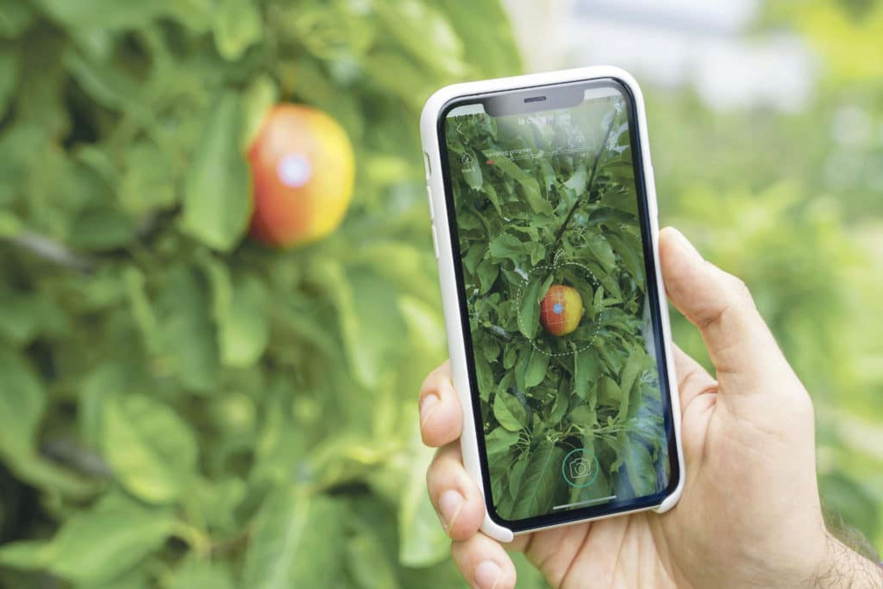Farid Edrisian vermarktet das System weltweit. Bereits im ersten Jahr konnte pixofarm über 50 Kunden gewinnen.