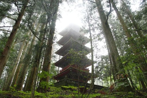 Mystischer Wald: „In jedem Baum sitzt ein Gott.“