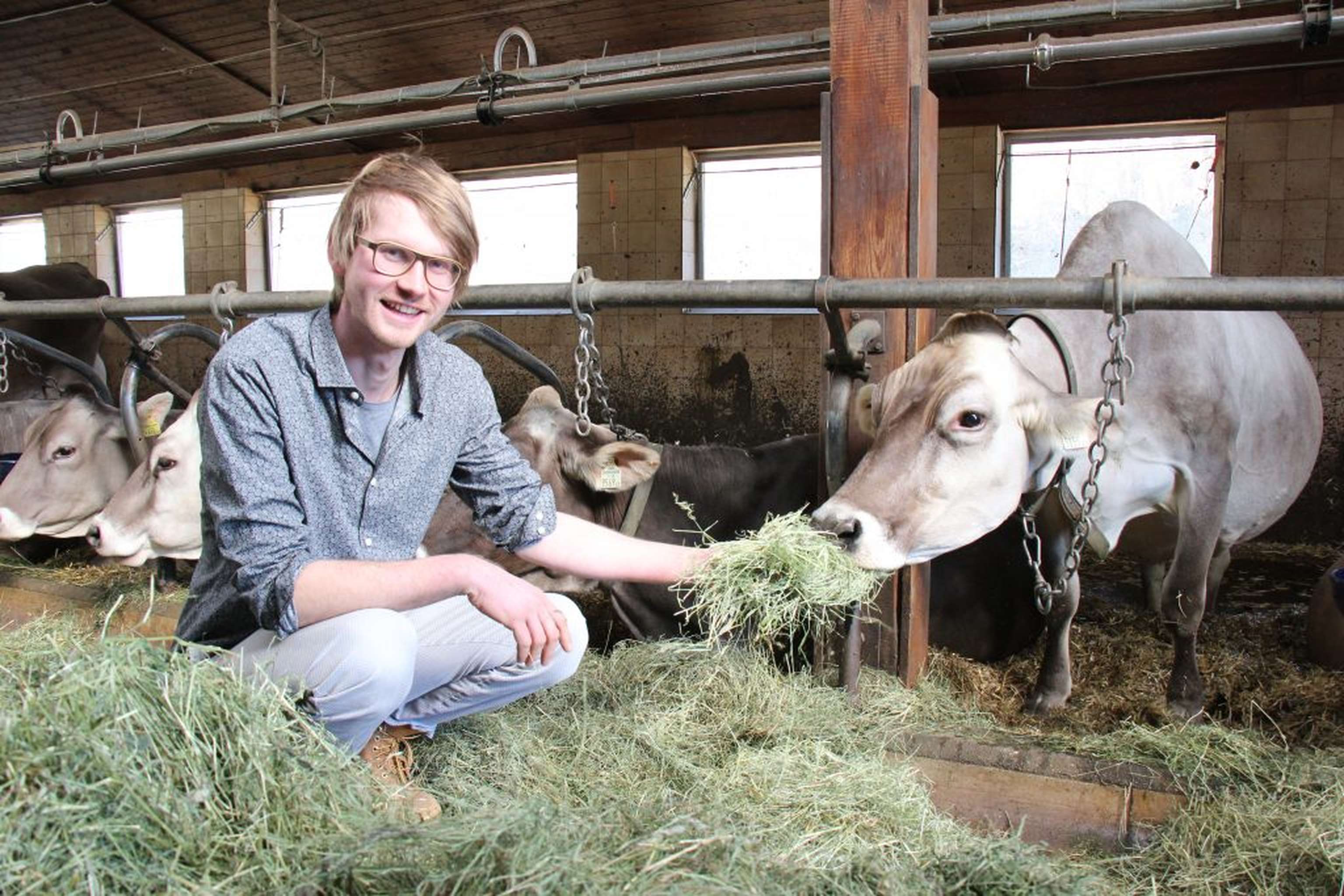 Das Hauptaugenmerk von Matthias Hackl gilt seinen Kühen. Die Stromerzeugung sieht er als zusätzliches Standbein.