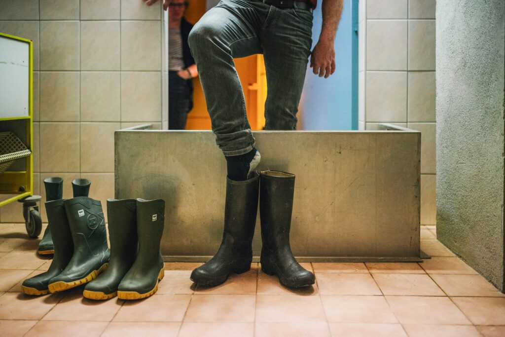 Das Einhalten der Hygienevorschriften schützt vor Einschleppung.