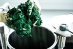 Sieht Spinat zum Verwechseln ähnlich: Spirulina lässt sich in viele Produkte einarbeiten.