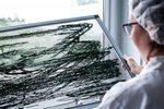 Spirulina-Fäden kringeln sich auf dem Trocknungsgitter. Das restliche Wasser wird entzogen. Wenn die Konsistenz von Spaghetti erreicht wurde, kann die getrocknete Masse zu Flakes und Pulver weiterverarbeitet werden. Bei der Trocknung bleiben die Nährstoffe aber in vollem Umfang erhalten.