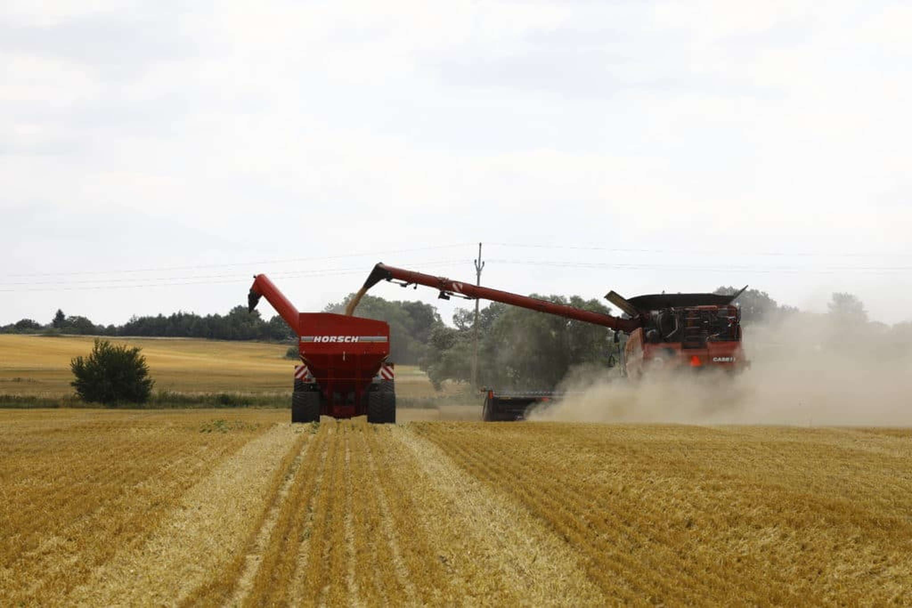 Traktor mit Überladewagen sowie Mähdrescher