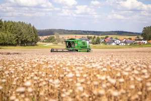 Mohn dreschen ist etwas für Könner. Wird die Technik zu aggressiv eingestellt, verdirbt das Erntegut rasch. Waldland hat ihre Mähdrescher deshalb eigens umgebaut.