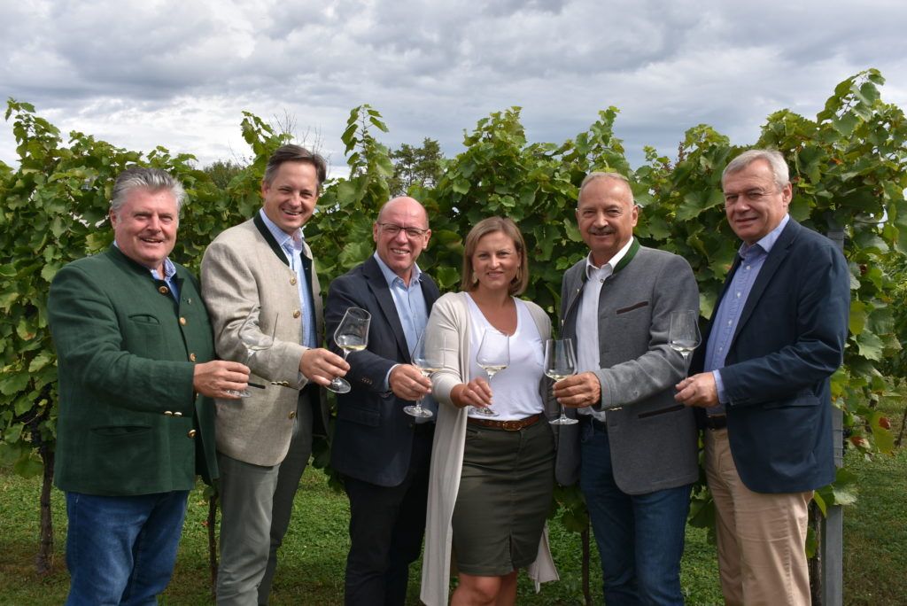 Vollreife Chardonnay-Trauben: Am Weingut von Andreas Liegenfeld (3. v. li.) wurde auf eine gute Lese 2023 auch angestoßen.