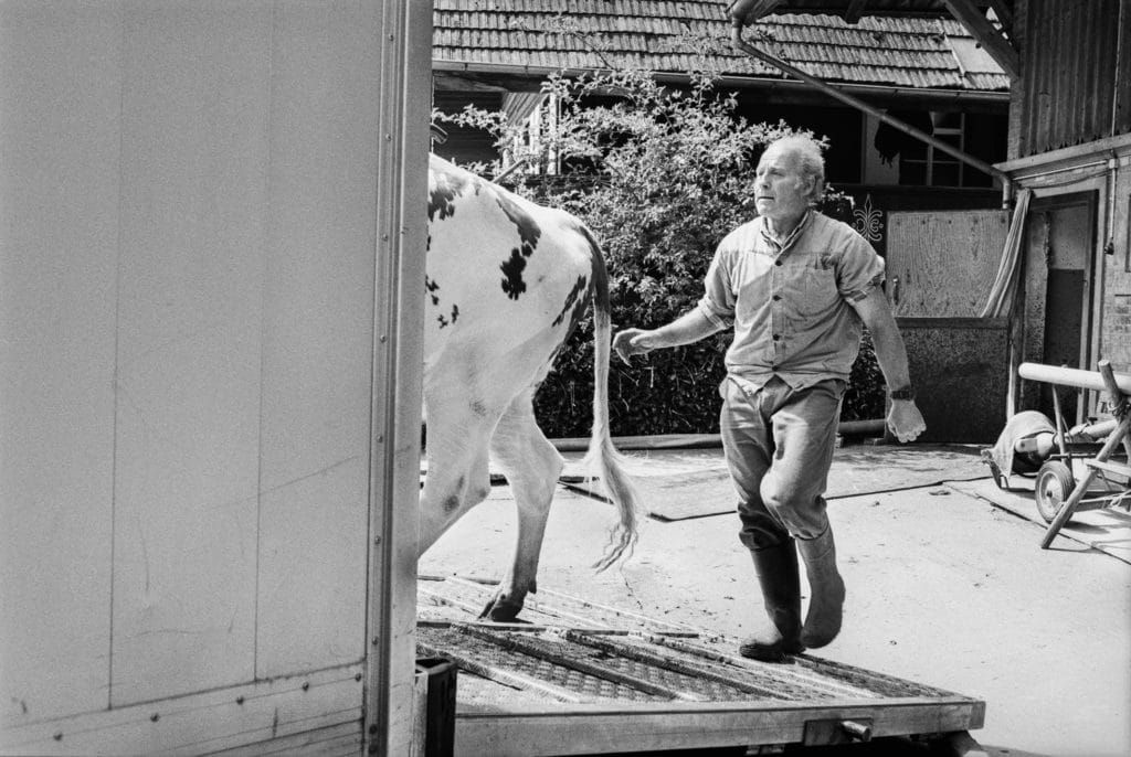 Hans hilft beim Einladen seiner Tiere, 2000.