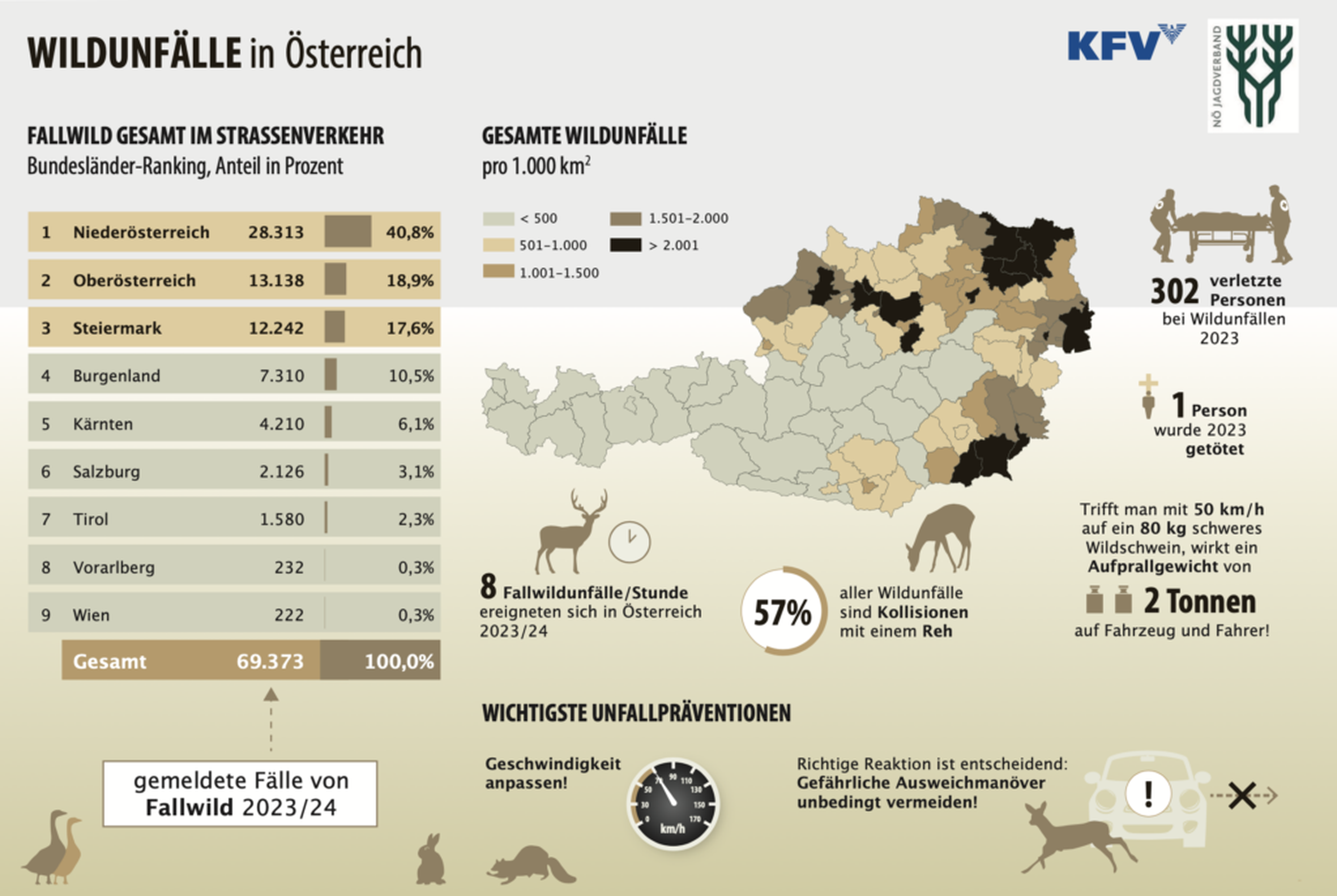 Wildunfälle in Österreich: Hierzulande ereigneten sich 2023/24 acht Wildunfälle pro Stunde. Die Mehrzahl betrifft Kollisionen mit Rehen.