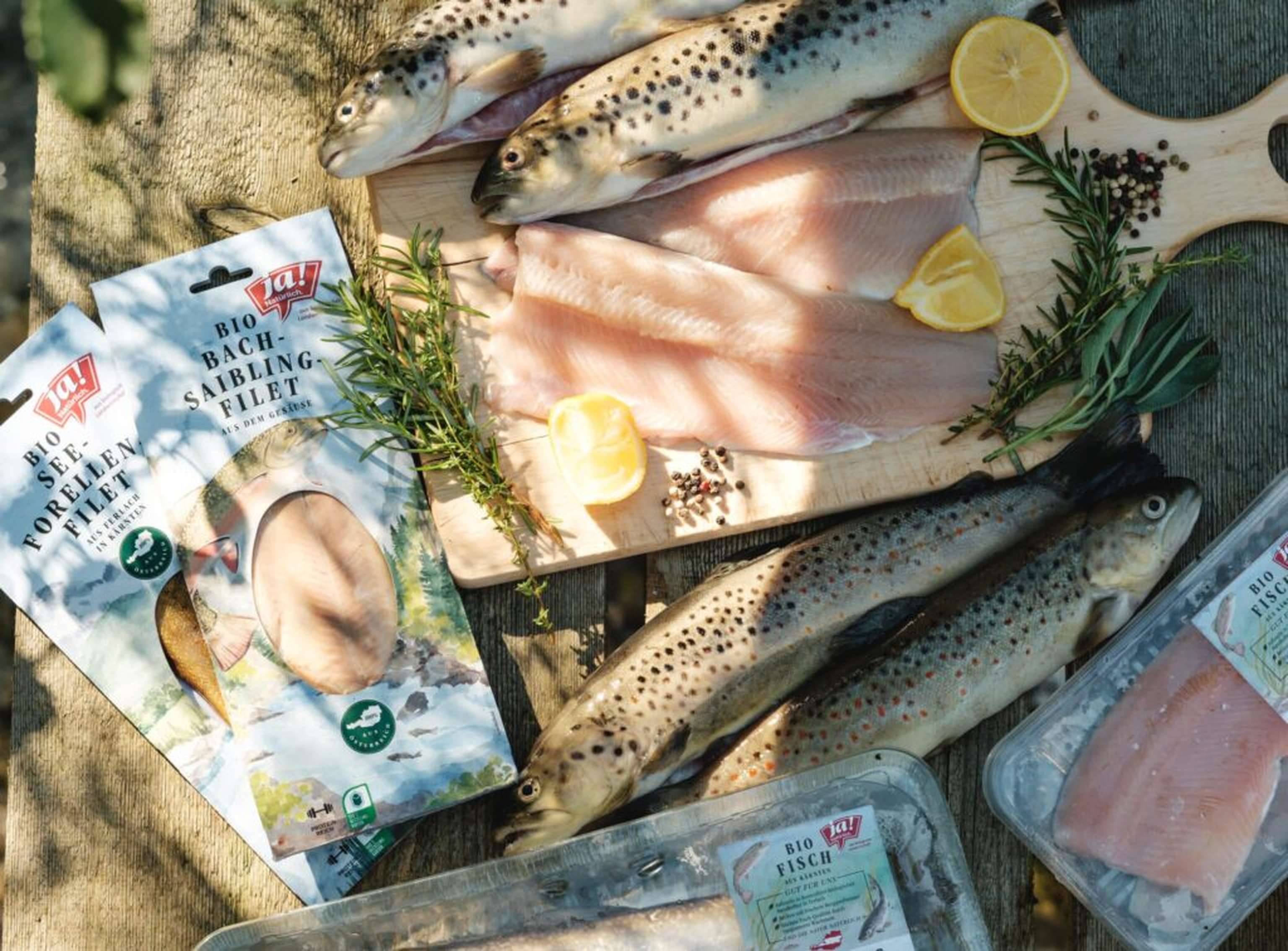 Der Bio-Bachsaibling schmeckt und ist gesund: über 70 Prozent mehrfach ungesättigte Fettsäuren, Omega 3 und proteinreiches festes Fleisch.