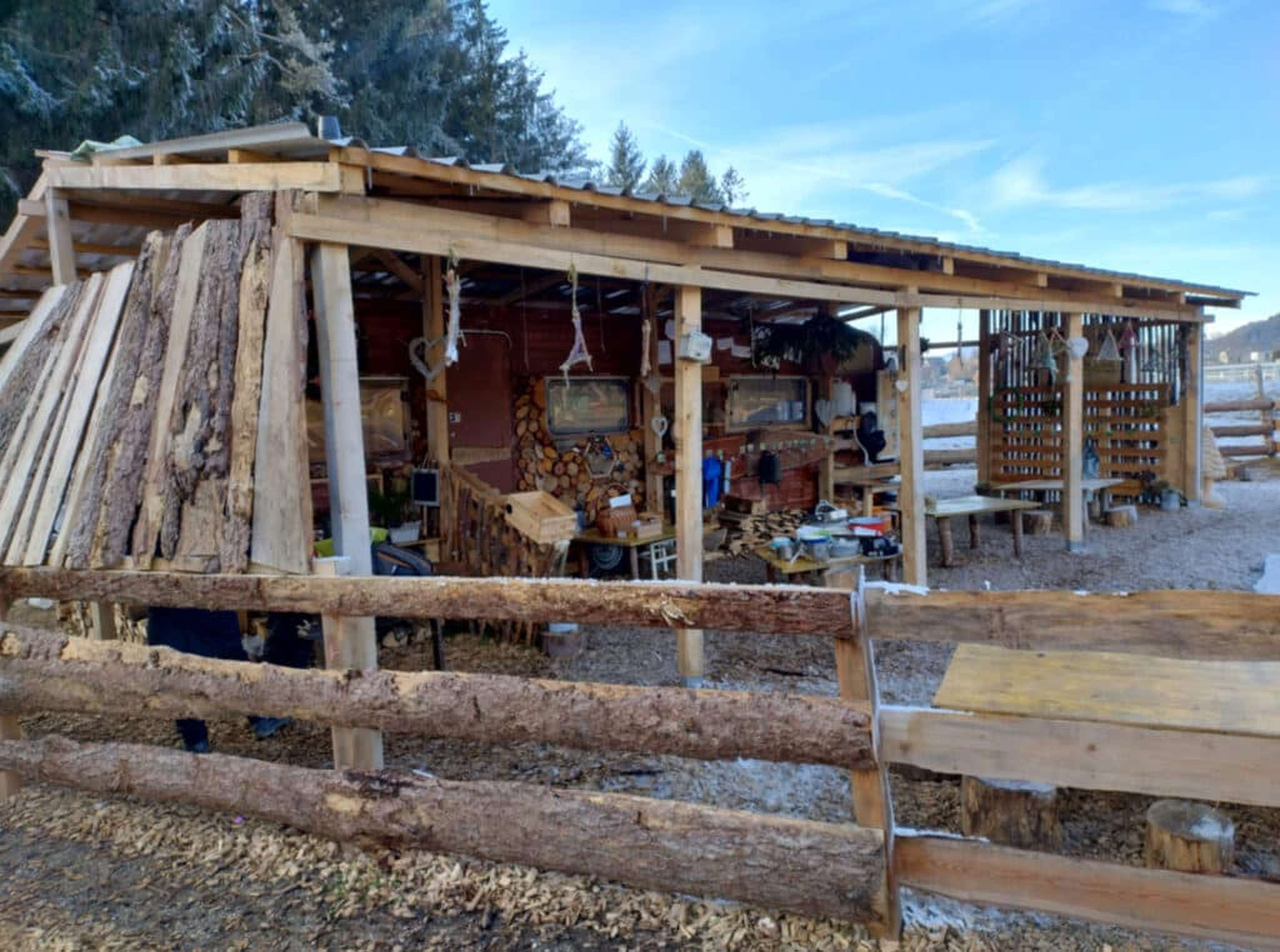 In Österreich gibt es knapp 80 spezielle Wald- und Naturkindergruppen.