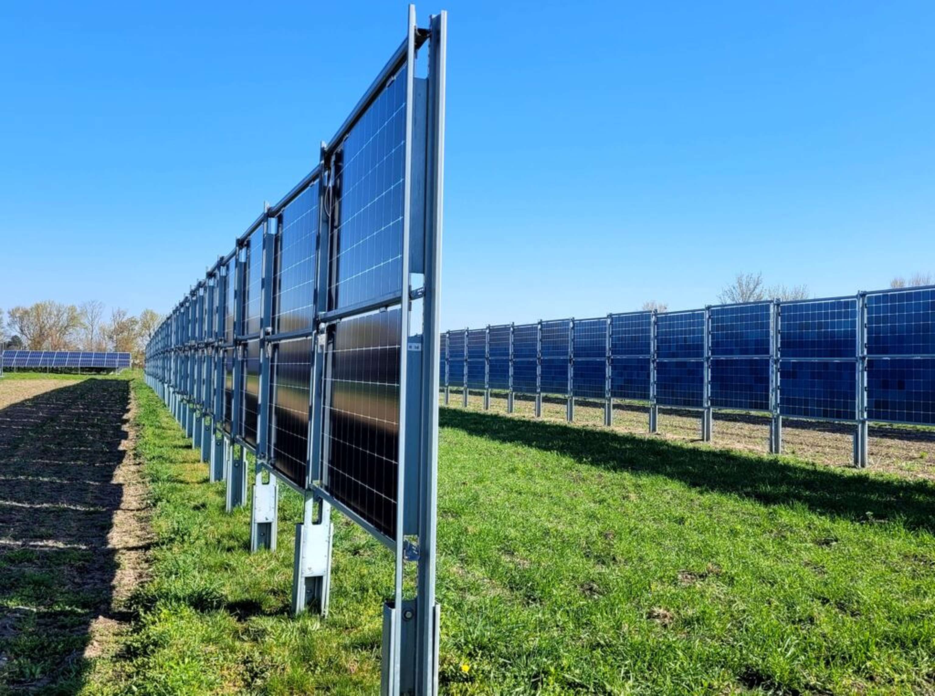 Vertikale Module in Wien