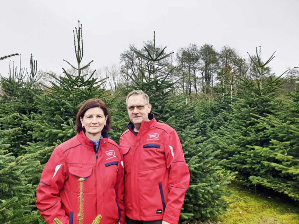 Die Steirer Alexandra und Johannes Paar bauen in Bad Blumau ihre Christbäume an.