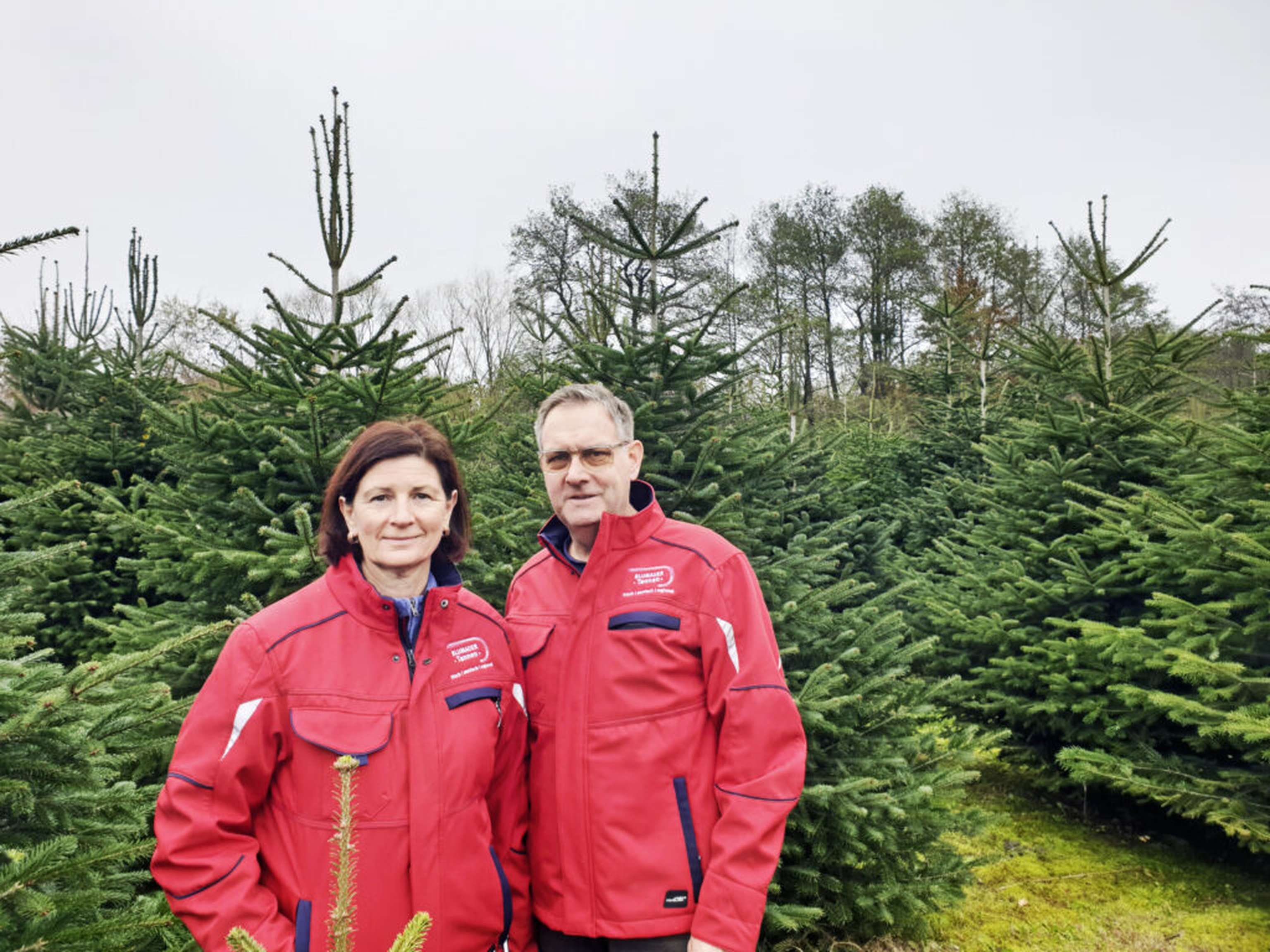 Die Steirer Alexandra und Johannes Paar bauen in Bad Blumau ihre Christbäume an.