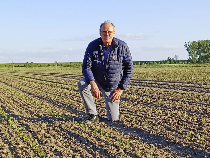 Rainer Carstens produziert seit mehr als 30 Jahren Biogemüse.