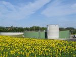 Biogasanlage: Nun erfolgt die Methanisierung in der Biogasanlage.
