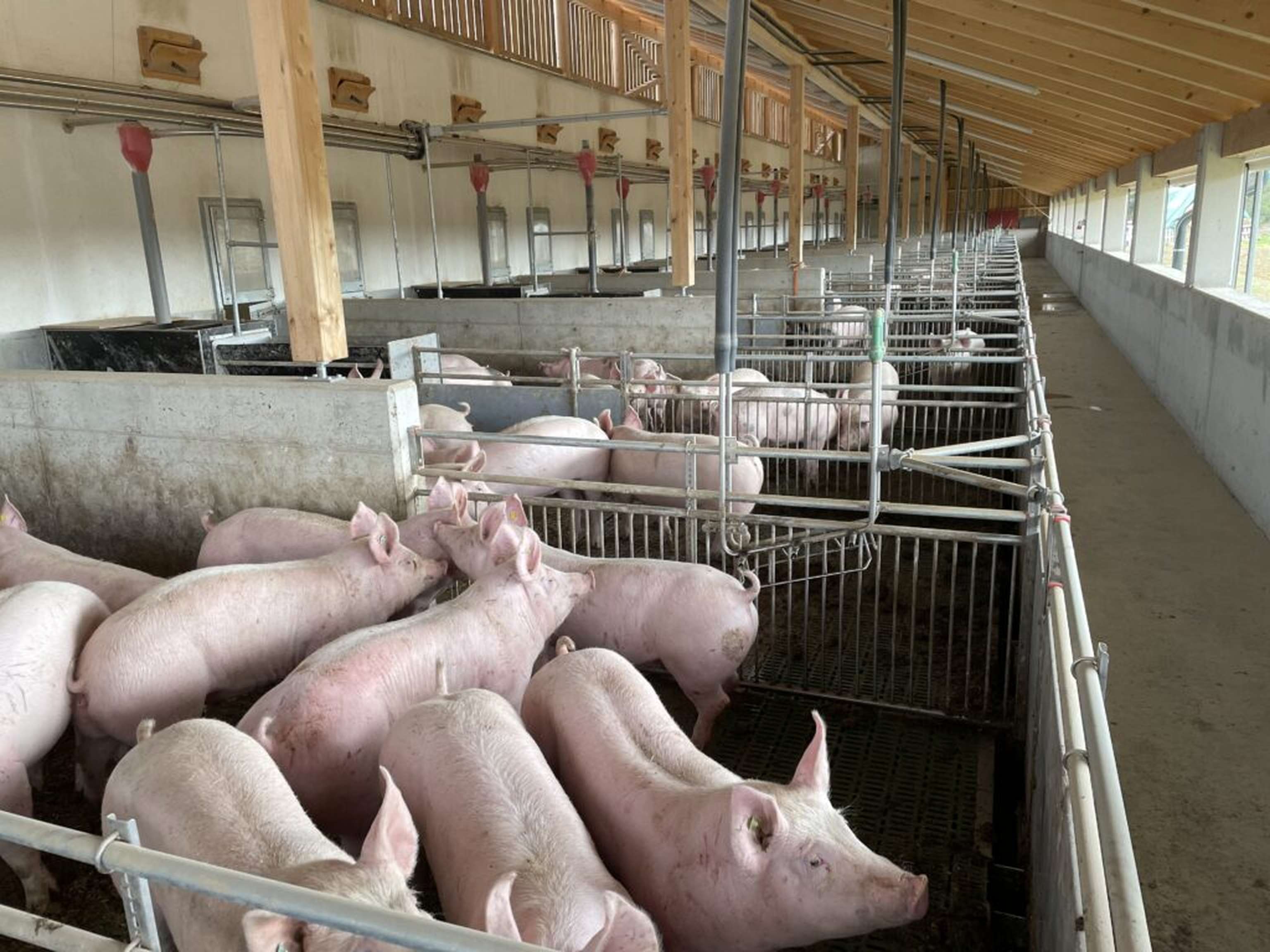 Überdachte Außenklimabereiche reduzieren die Emissionen und Hitzebelastungen.