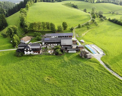 Alles was auf den Wiesen, am Acker und im Garten gedeiht, wird veredelt.
