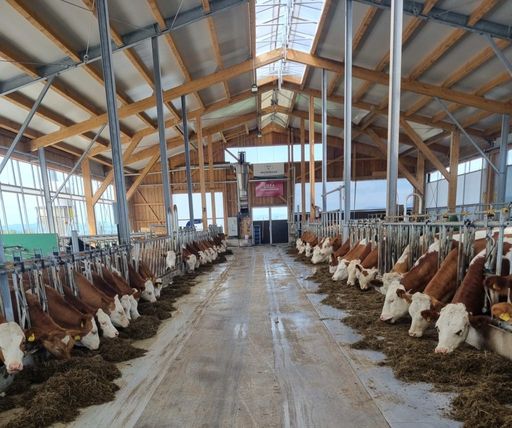 Fressgitter, Kratzbürsten, Liegeboxen uvm.: Viele verschiedene Systeme und Ausführungen sind in einem Stall vergleichbar.