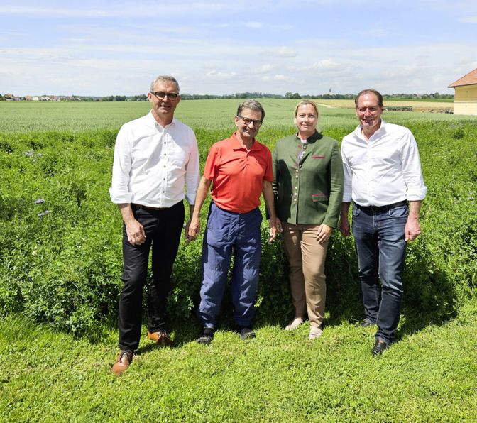 Waldenberger, Bohner, Spachinger und Moosbrugger beim Lokalaugenschein.