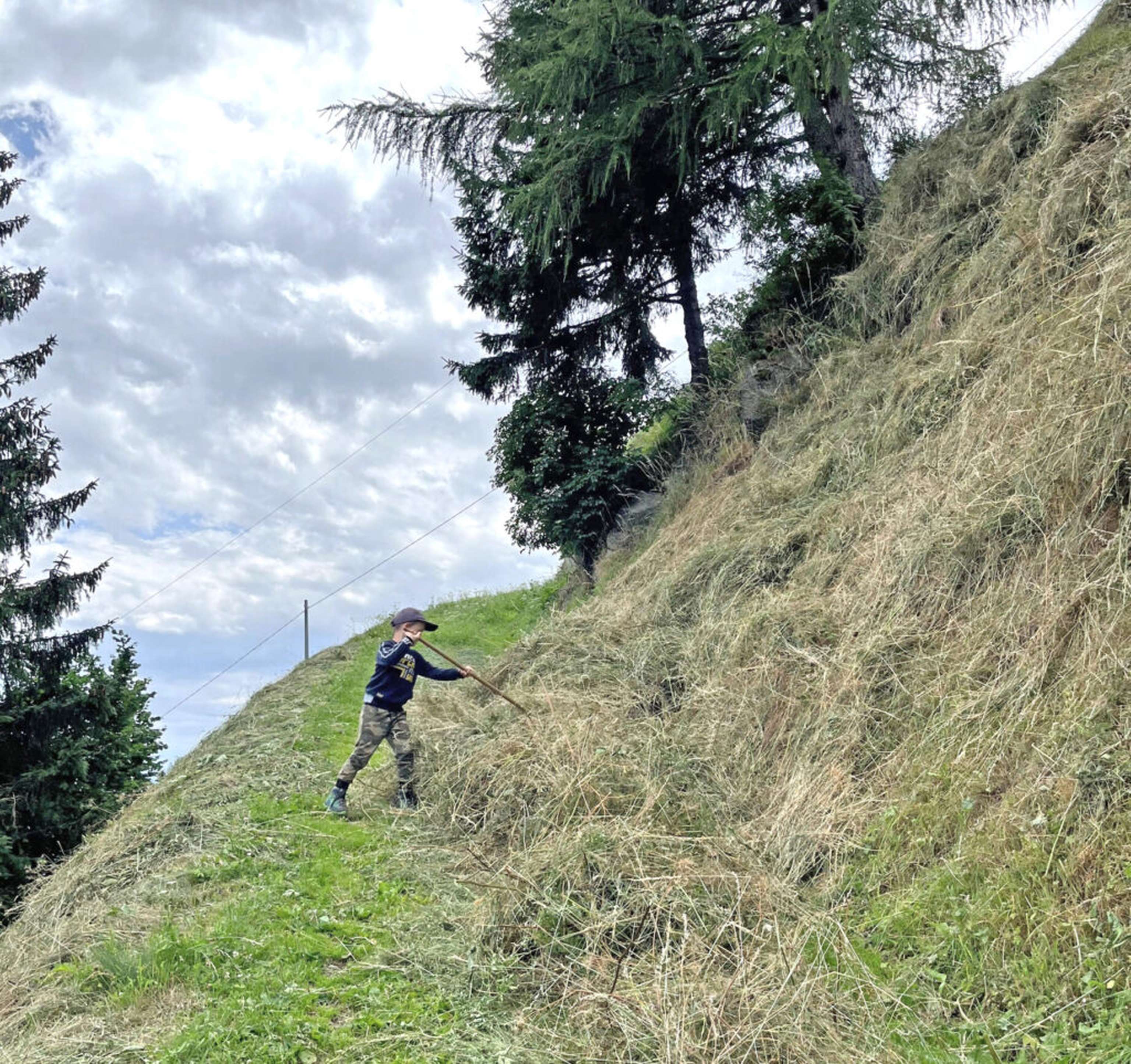 Enkel Max hilft auch schon kräftig bei der Heuernte mit.