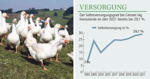 Ganslzeit