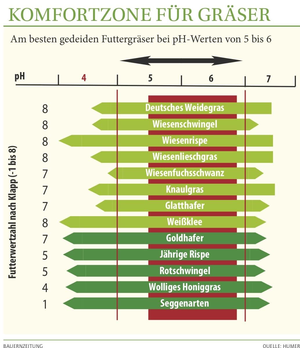 2040 Graeser Komfortzone Web