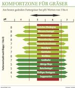 2040 Graeser Komfortzone Web
