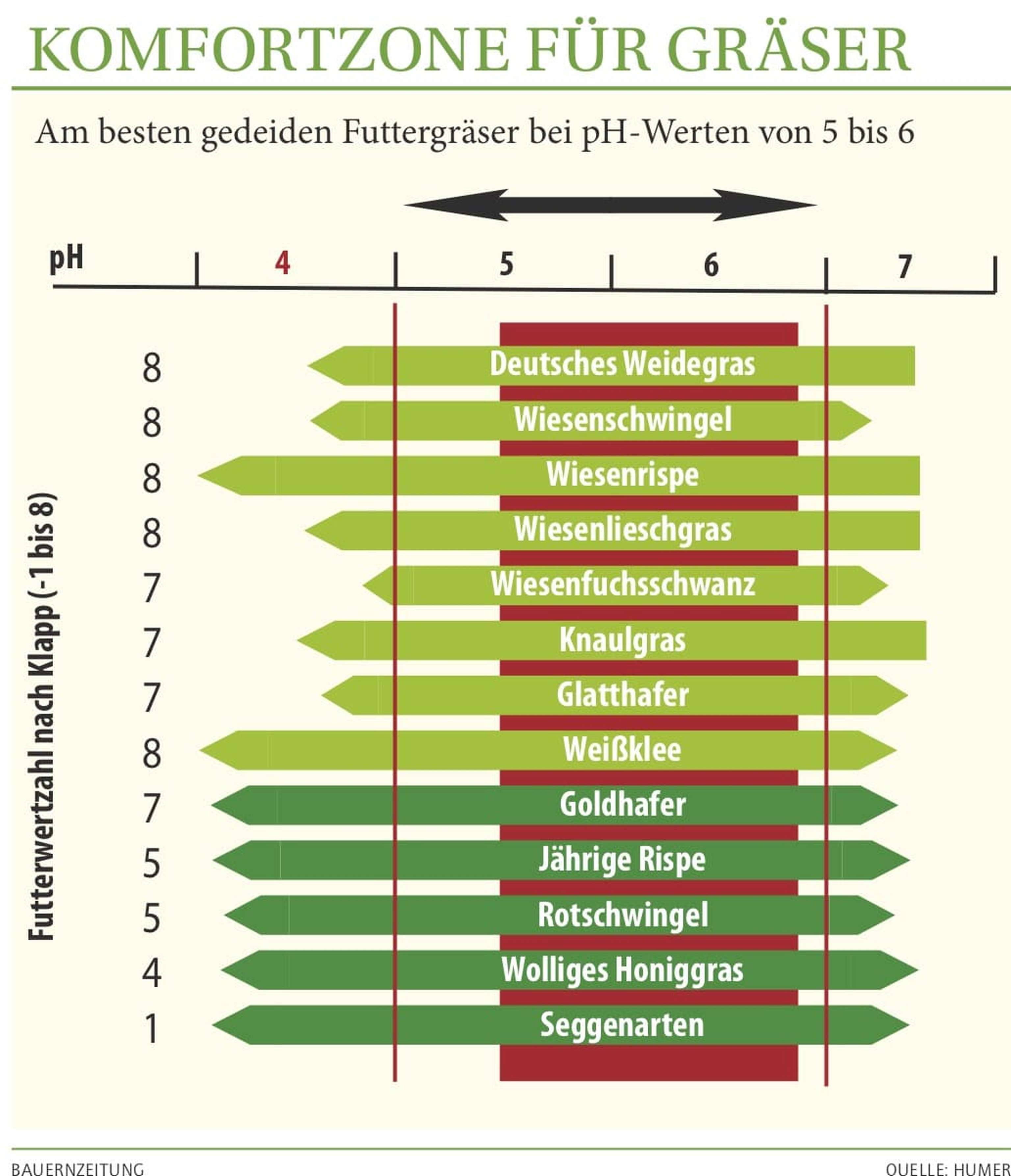2040 Graeser Komfortzone Web