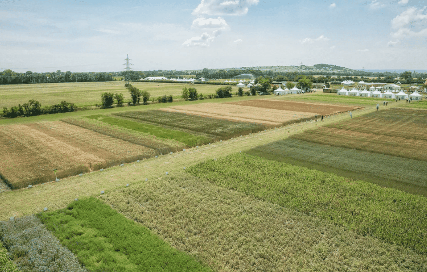 Die Biofeldtage werden auf den 4. und 5. Juni 2021 verschoben. FOTO: Screenshot