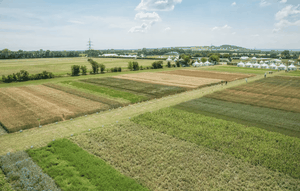 Biofeldtage 2018