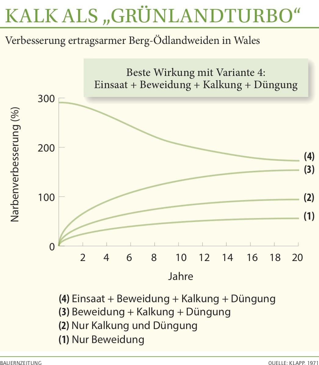 2040 Kalk Gruenlandturbo Web
