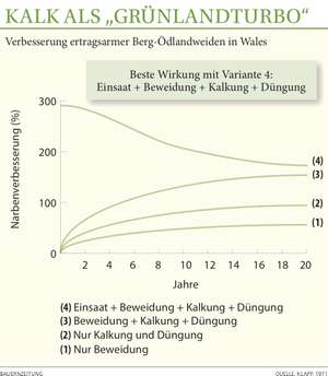2040 Kalk Gruenlandturbo Web