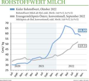 2244 0602w Rohstoffwert