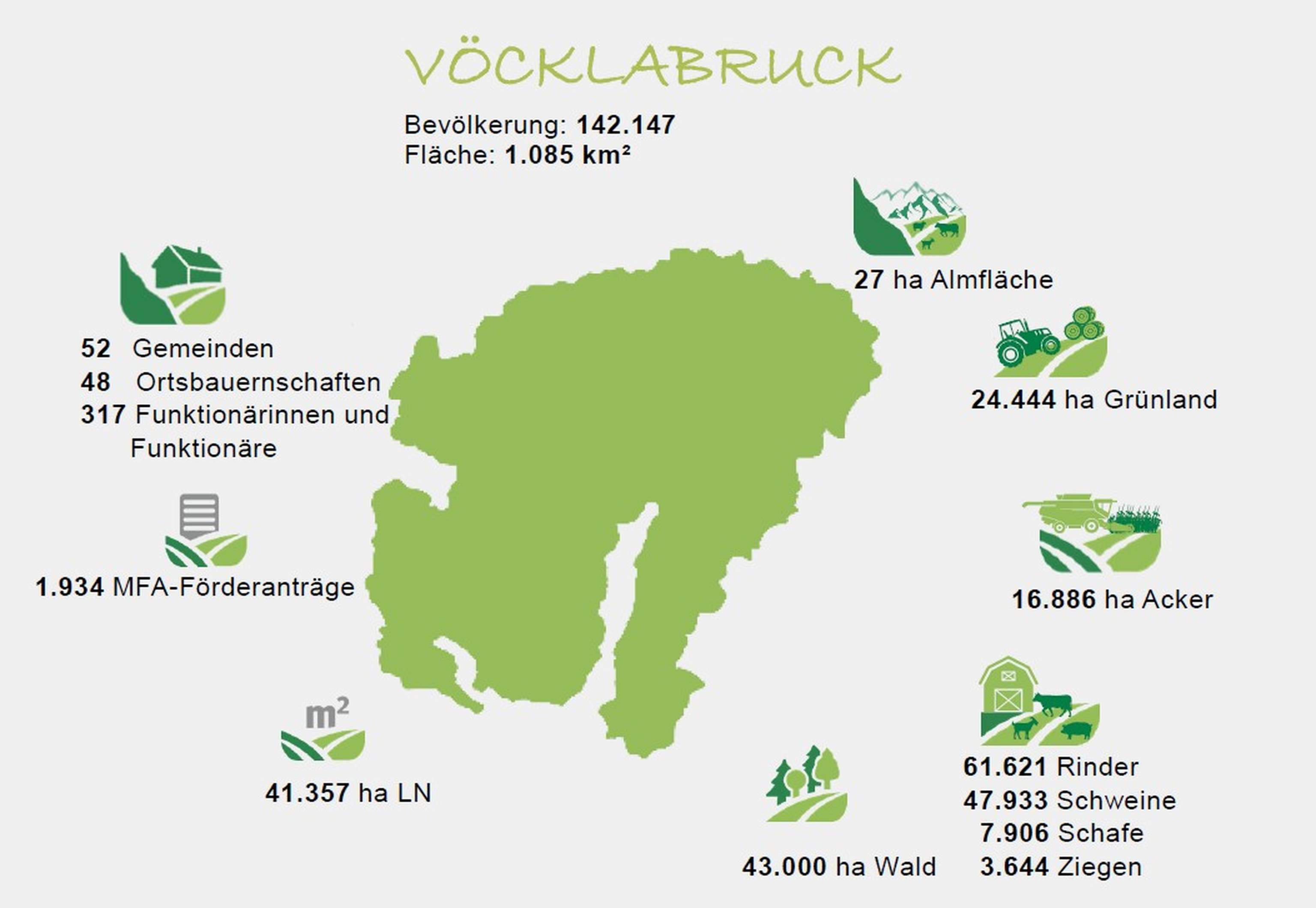 Grafik: Zahlen zum Bezirk Vöcklabruck