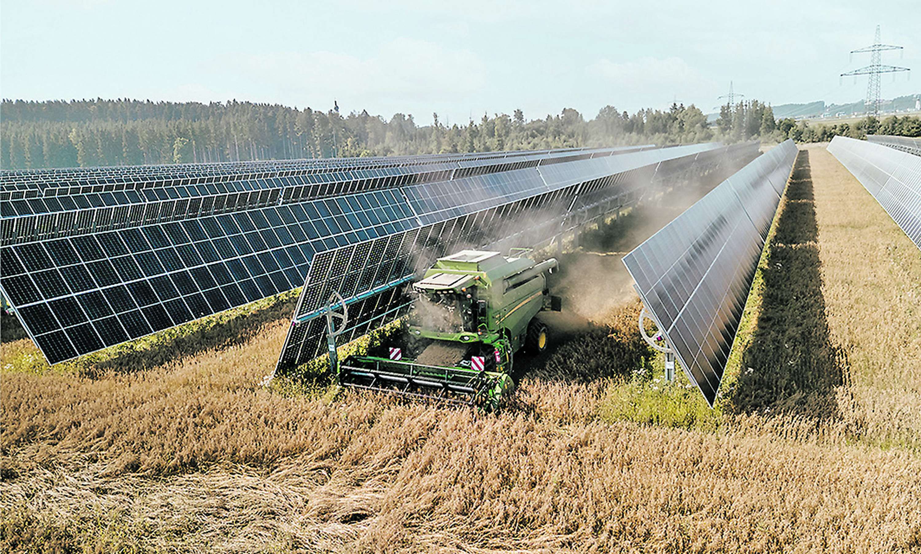 Mähdrescher erntet Getreide zwischen PV-Modulen