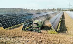 Mähdrescher erntet Getreide zwischen PV-Modulen